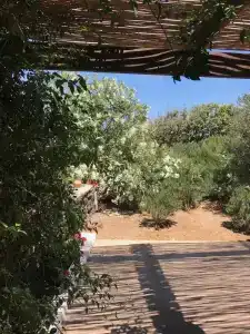 I Dammusini di Pantelleria - 67