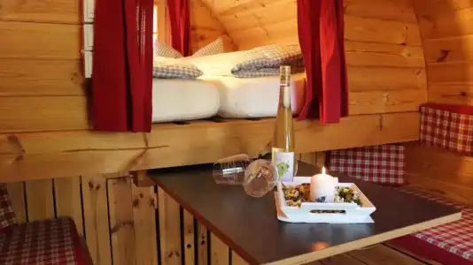 Azur Waldcamping Auwaldsee - 49