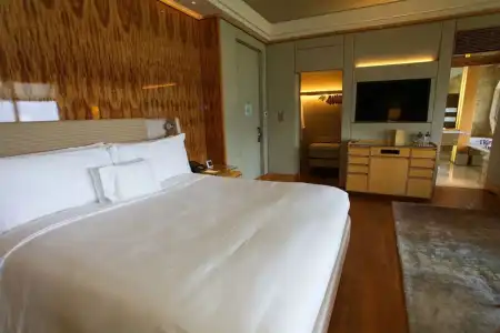 The Ritz-Carlton, Millenia - 2