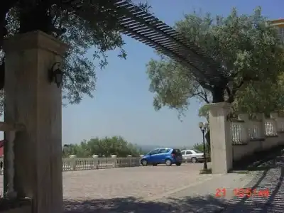 le Olive - 16