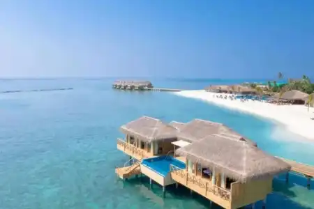 You & Me by Cocoon - 38