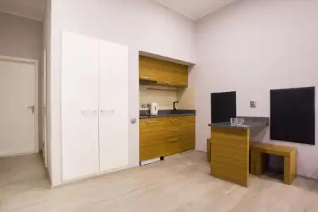 Pushkinskaya Apartments - 52