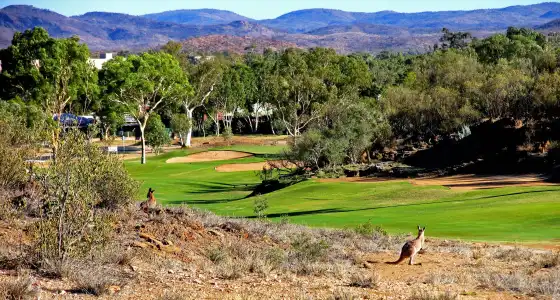 Desert Palms Alice Springs - 10