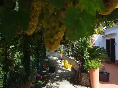 B&B Il Grappolo - 16
