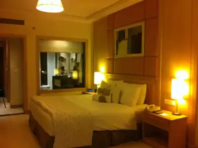 Lemon Tree Premier, Jaipur - 30