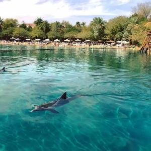 Sahara Eilat - 13