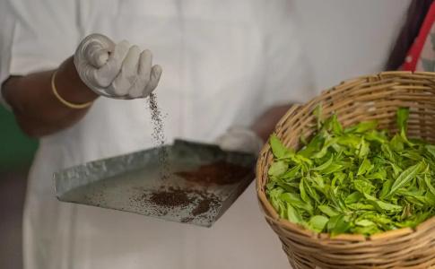 Heritance Tea Factory - 42