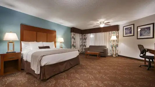 Best Western Plus El Paso Airport & Conference Center - 70