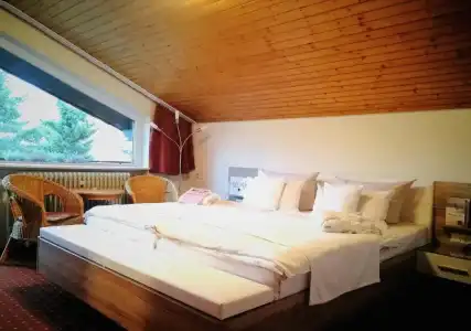 FerienSchwarzwälder Hof - 43