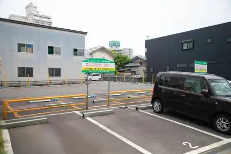 New Green - 11