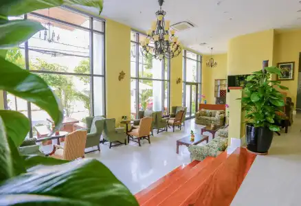 Eco Green Boutique - 14