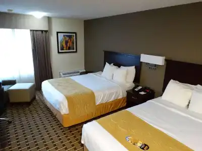Comfort Inn & Suites - 29