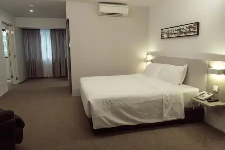 VIP (SG Clean Certified) - 54