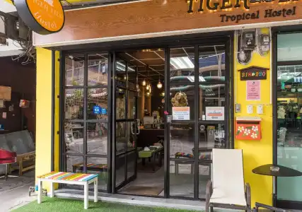 Tiger Lily Hostel - 11