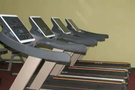 GSG - 19