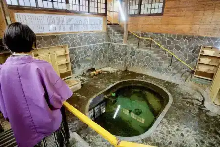 Fujisan Ryokan Bettei Namari Onsen - 12