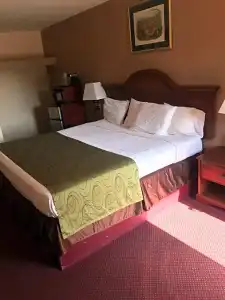 Shamrock Motel Hot Springs - 19