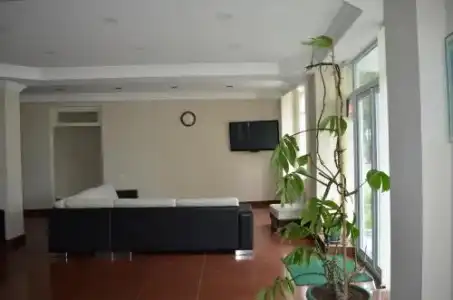 Green House - 11