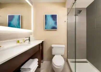 Hilton Clearwater Beach Resort & Spa - 58