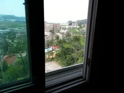Seaworld - 29