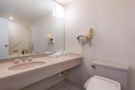 ANA Crowne Plaza KOBE by IHG - 10