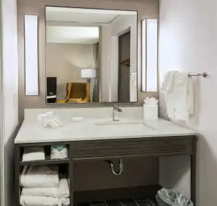 Hilton Garden Inn Las Colinas - 75