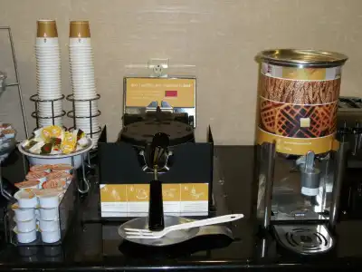 Hampton Inn & Suites Lubbock Southwest - 12
