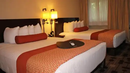 The Zen Palo Alto - 54