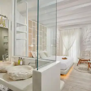 Petri Suites - 39