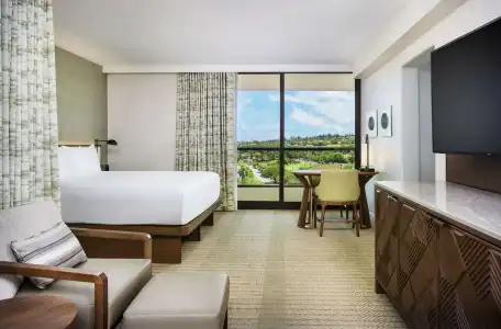 Hyatt Regency Maui Resort & Spa - 82
