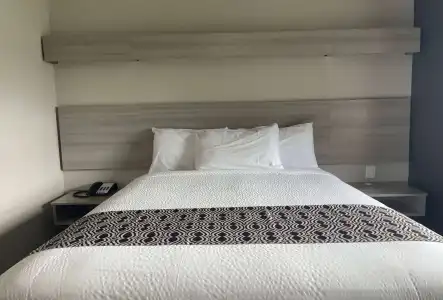 Microtel Inn & Suites by Wyndham Bossier City - 2