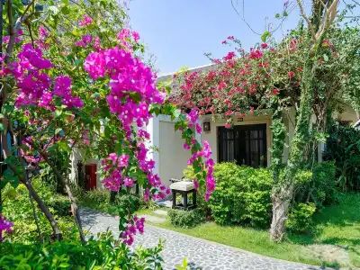 Anja Beach Resort & Spa - 222
