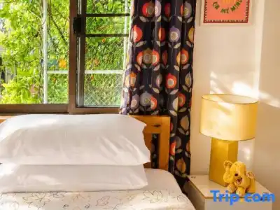 Bed and Terrace Guesthouse - 83