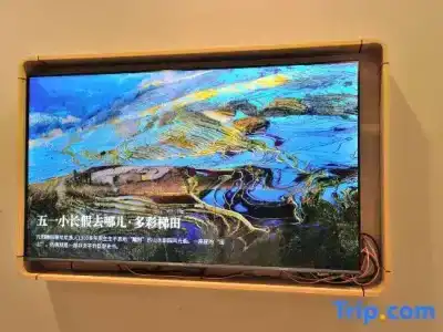 GreenTree Inn Suzhou Shihu Suli Road Express - 30