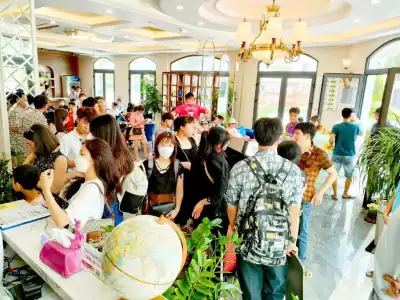 Halong Lavender - 17