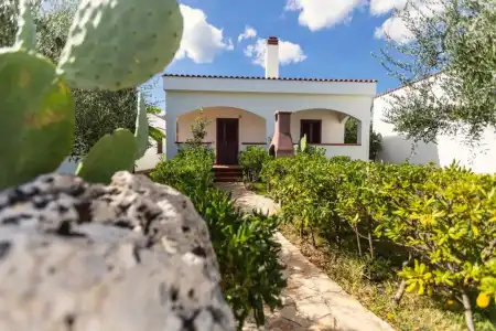 Residence Villantica - 306