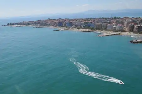 Sofia - 14
