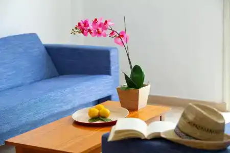 Paloma Apartments - 52