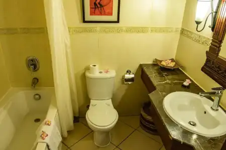 Aanari & Spa - 100