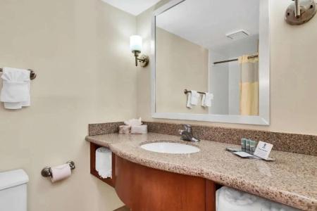 Best Western Orlando Gateway - 62