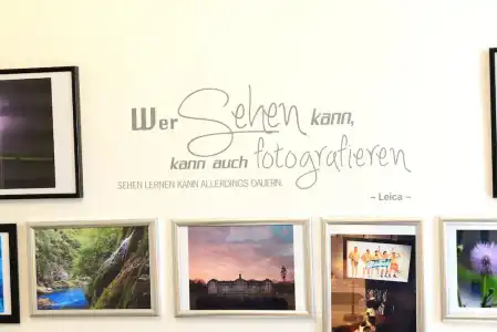 Lilis kleines - 39