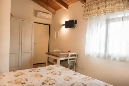 Rosa di Assisi - 138