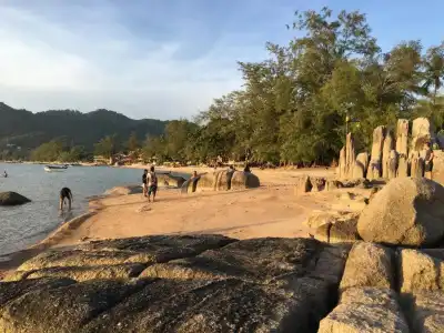 Ocean View Resort Koh Tao - 51