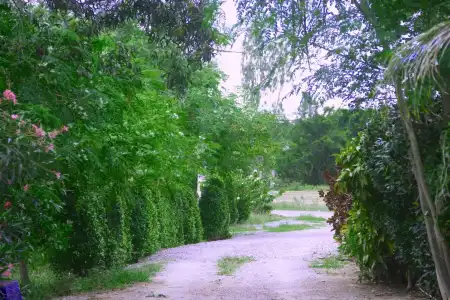 KP Mountain Beach Resort - 16