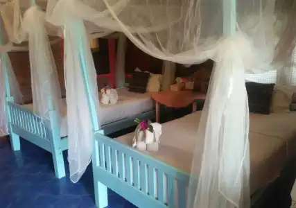 Orchid Hibiscus Guest House - 4