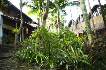 The Garden Burees - 11