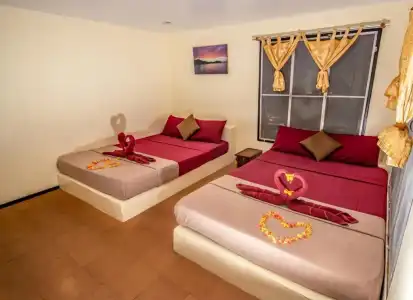 Shiralea Island Resort - 1