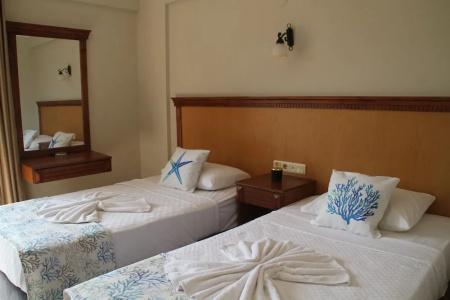 Rosy Suites - 113