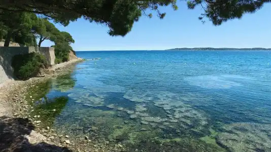 VVF Golfe de Saint-Tropez, Sainte Maxime - 16