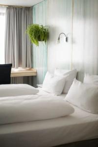 Abalon Ideal - 48